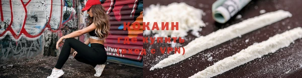 дживик Богородск
