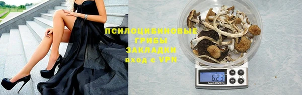 дживик Богородск