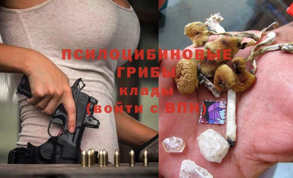 хмурый Богородицк