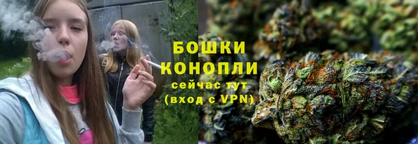 мяу мяу мука Богданович