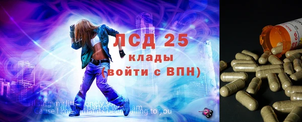дживик Богородск
