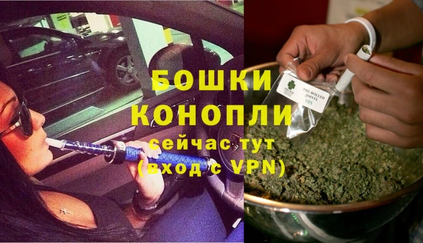 мяу мяу мука Богданович