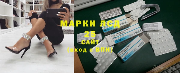 хмурый Богородицк